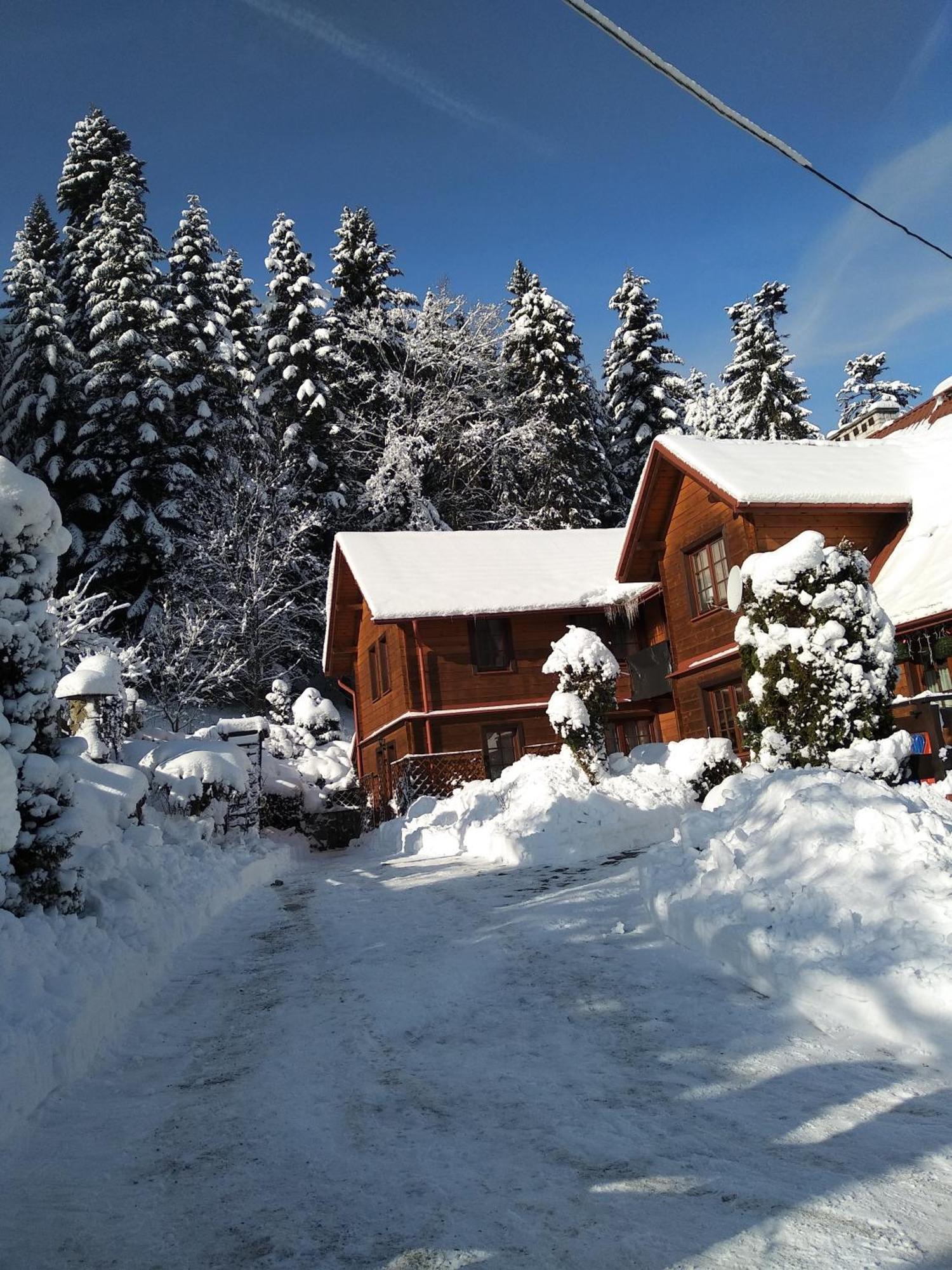 Dom Goscinny Dudek Krynica Zdroj Exterior foto