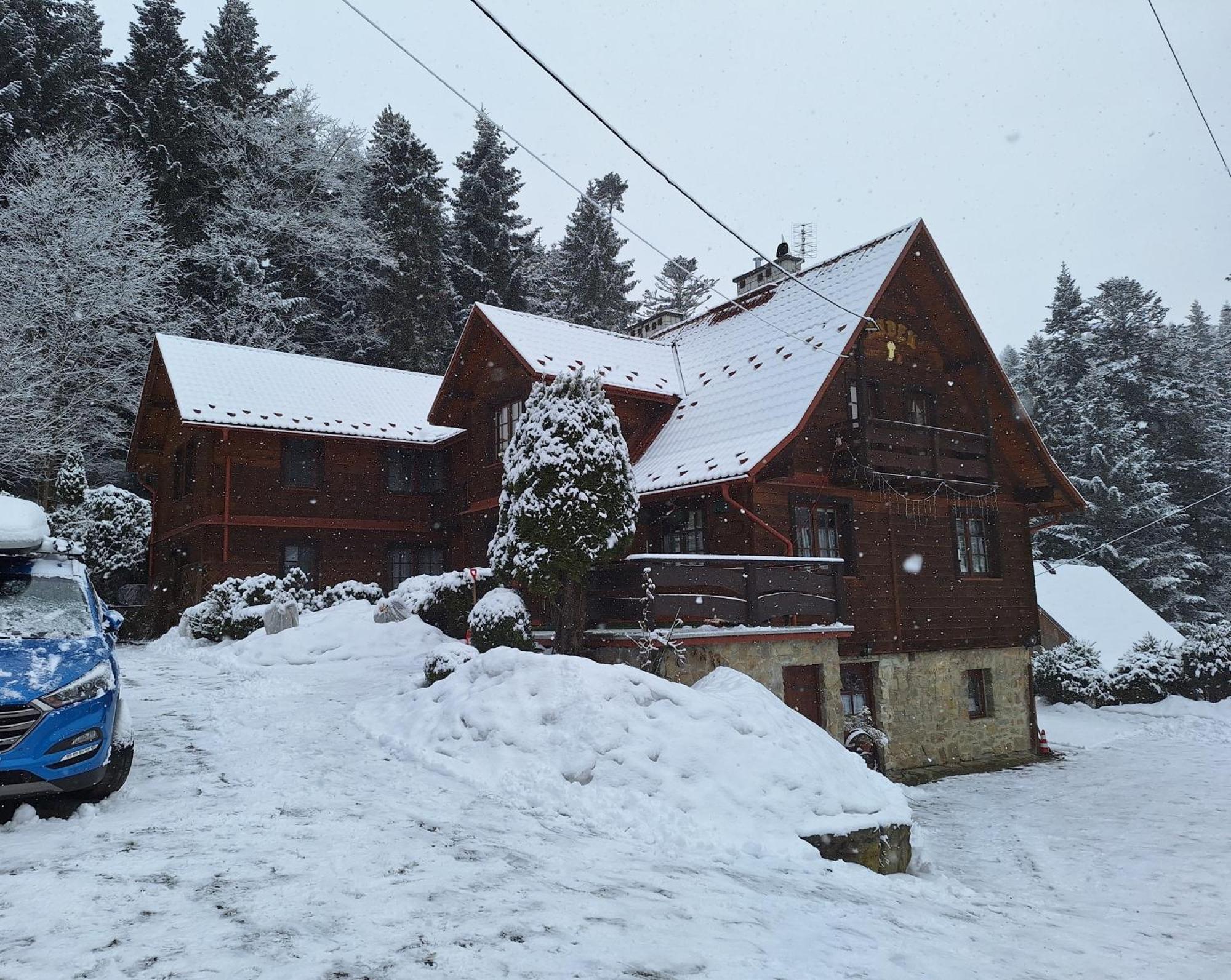 Dom Goscinny Dudek Krynica Zdroj Exterior foto