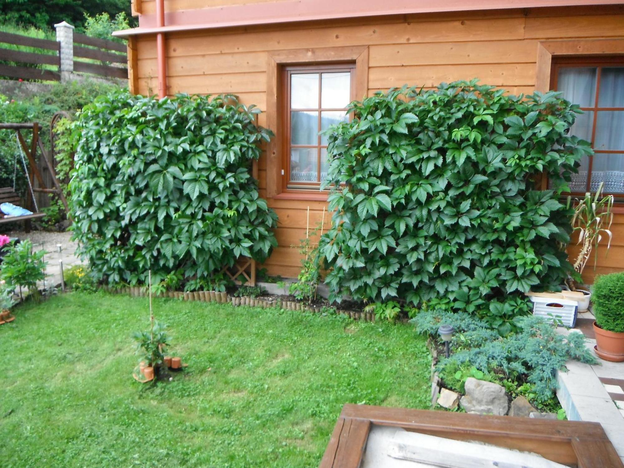 Dom Goscinny Dudek Krynica Zdroj Exterior foto