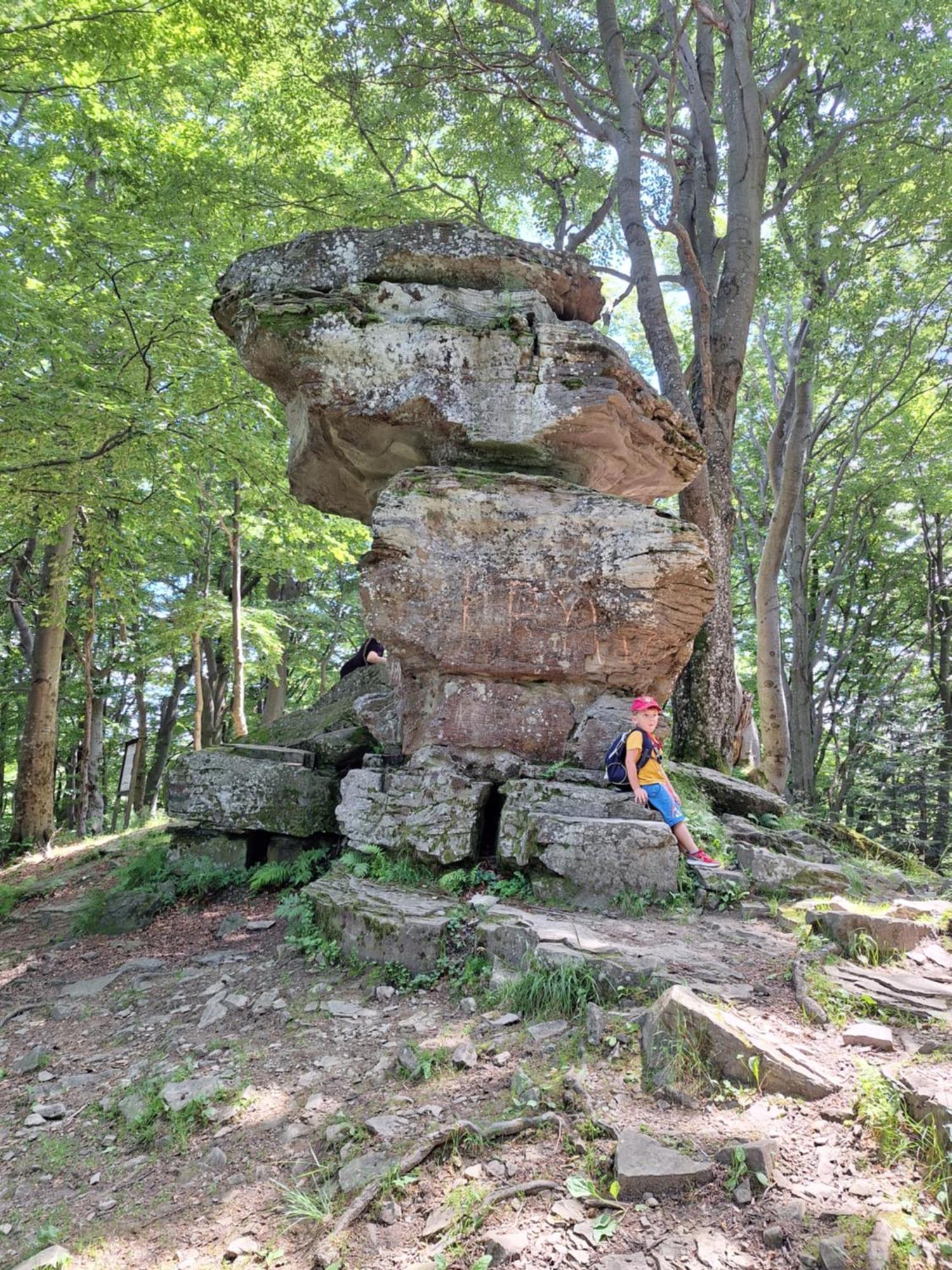 Dom Goscinny Dudek Krynica Zdroj Exterior foto