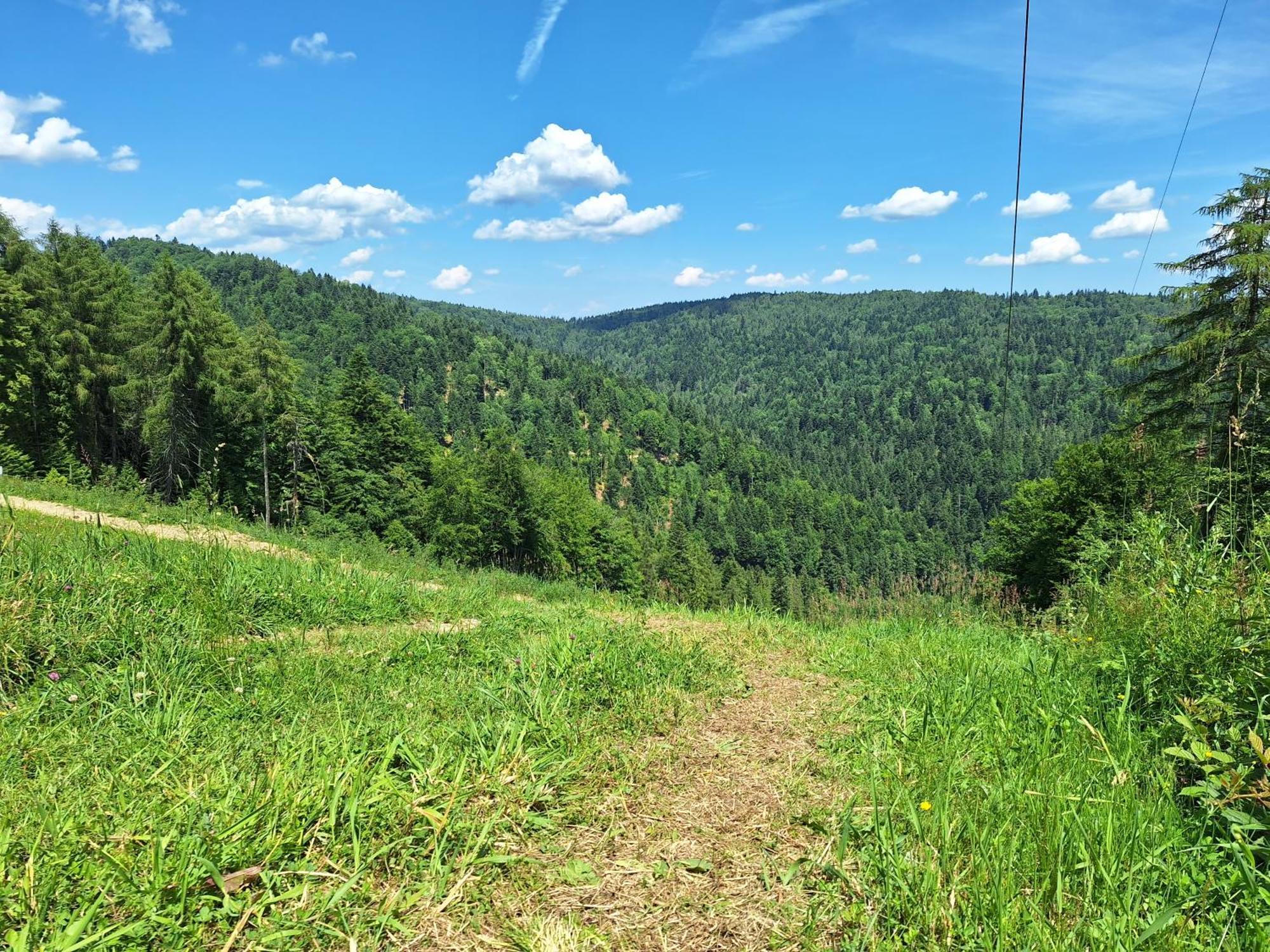 Dom Goscinny Dudek Krynica Zdroj Exterior foto